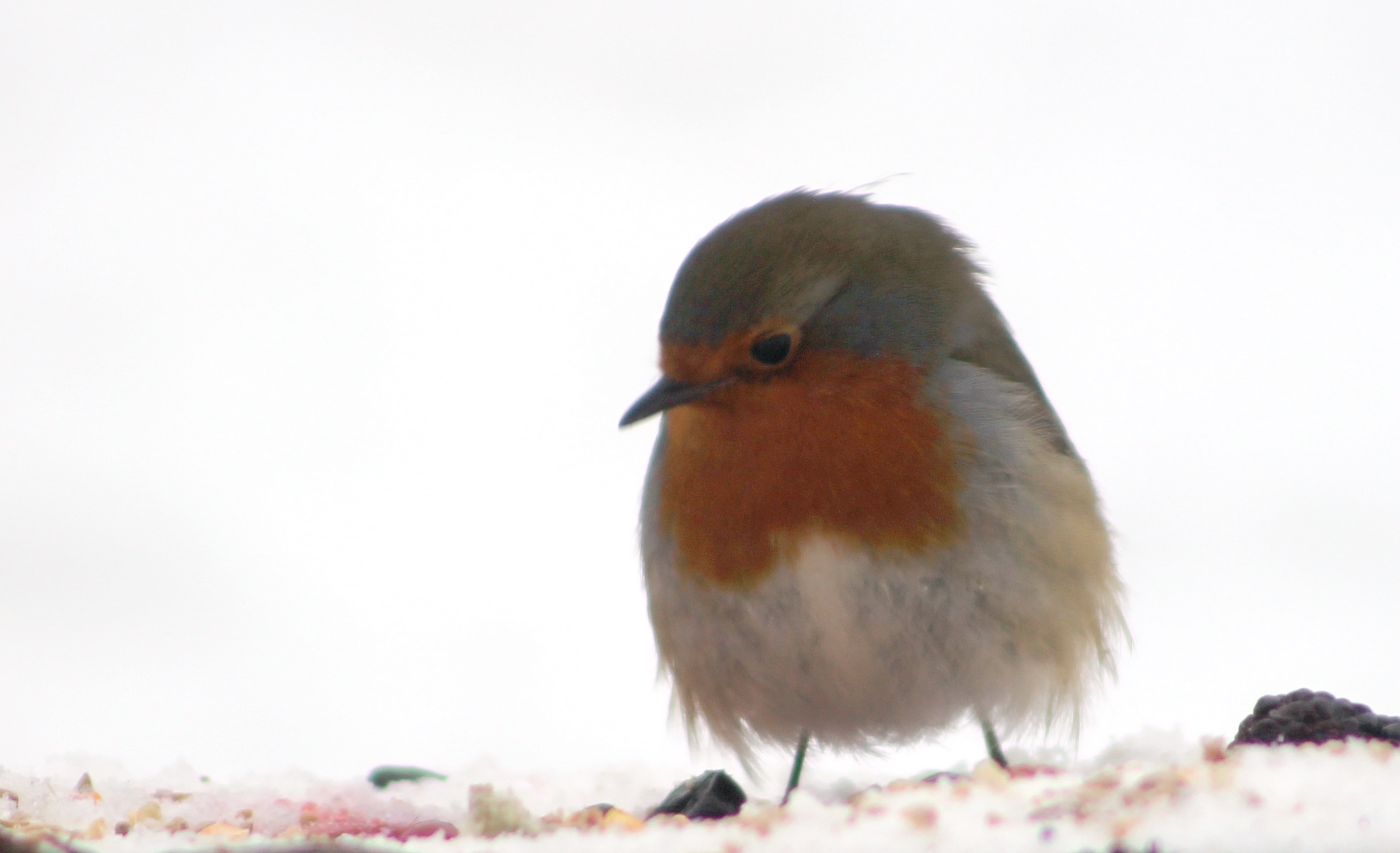 be27d3f2-7189-4efe-aac5-020c0cd32174