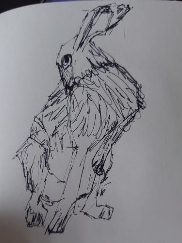 The Overton Window Is Broken