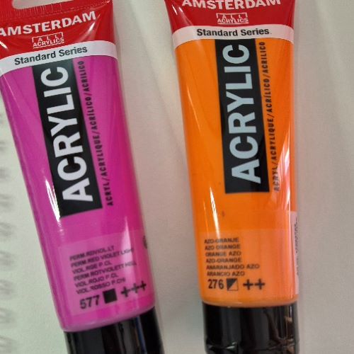 Two Colour Play Portrait