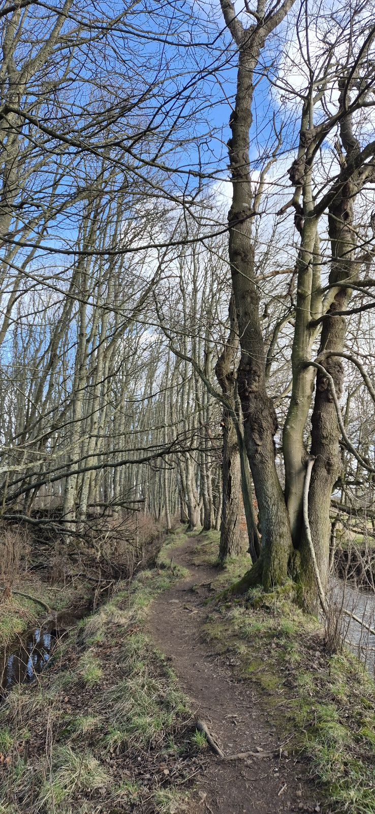 Bad Art Day Have Some&nbsp;Trees